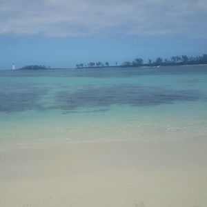 Meet your Posher, Mara